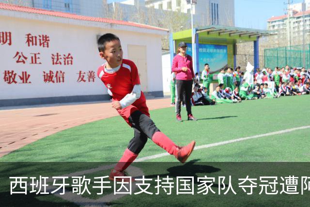 西班牙歌手因支持国家队夺冠遭阿根廷仇视 演唱会或被迫取消